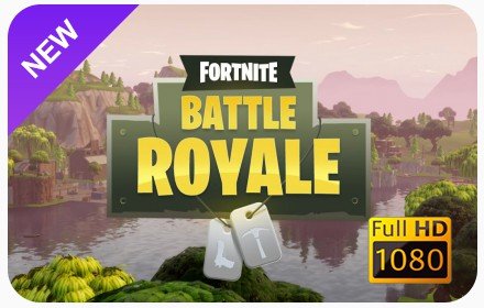 Fortnite Battle Royale New Tab插件截图