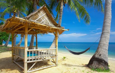 Beach Themes & New Tab插件截图