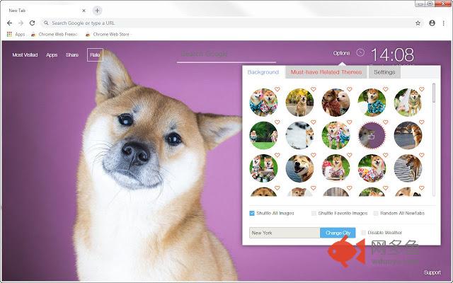 Shiba Inu HD Wallpapers New Tab Themes
