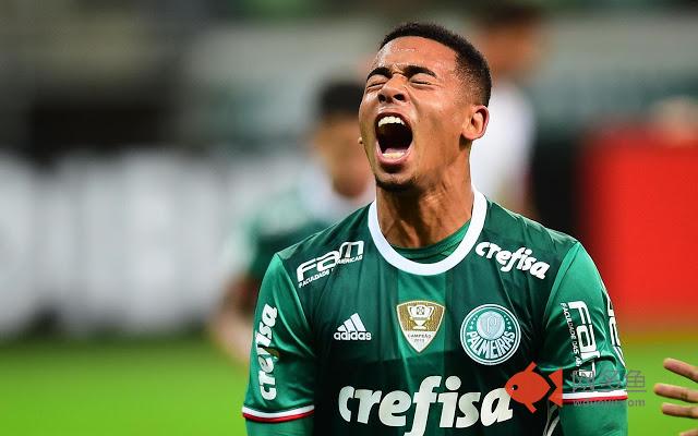 SE Palmeiras Tab插件截图
