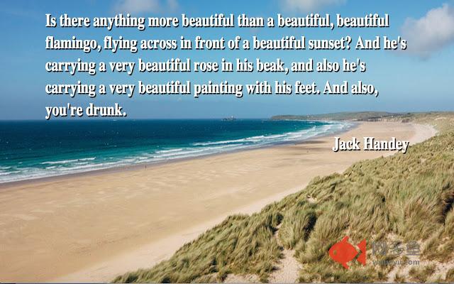 Deep Thoughts by Jack Handey插件截图