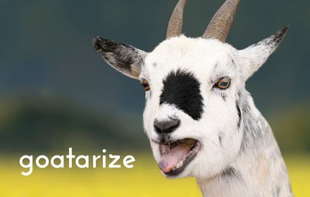 Goatarize for Chrome插件截图