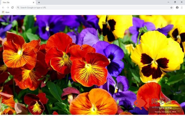Flowers New Tab & Wallpapers Collection