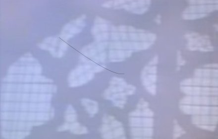 Hair on Screen插件截图
