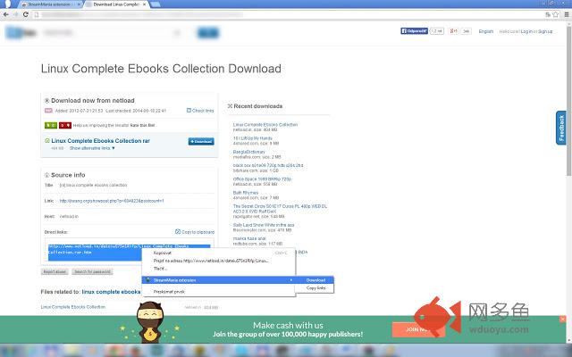 StreamMania extension插件截图