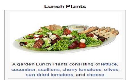 Salad to Lunch Plants插件截图