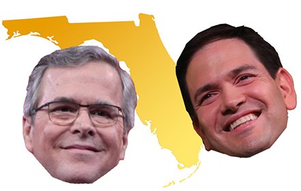 Florida Man插件截图