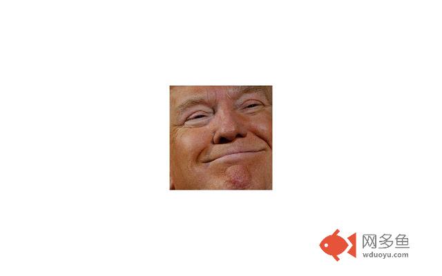 Dear Trump插件截图