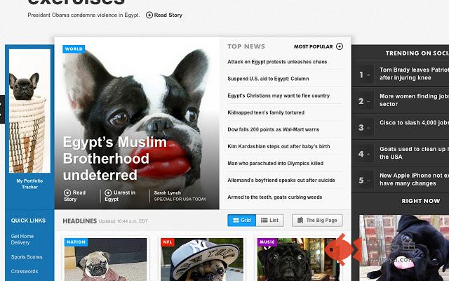 Puggin.it插件截图