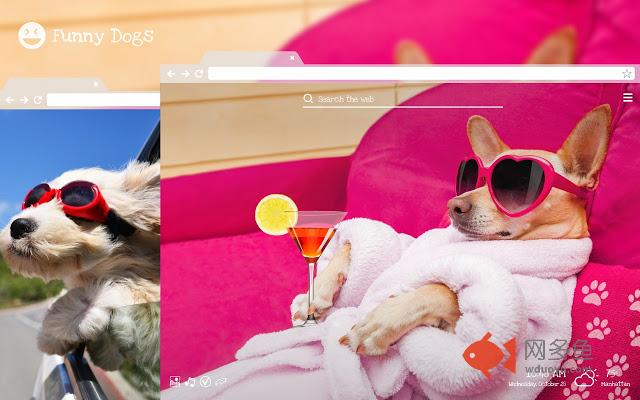 Funny Dogs & Puppies - Amusing Pet Wallpapers