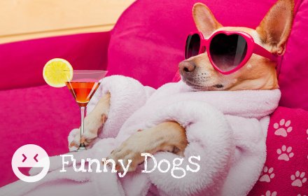 Funny Dogs & Puppies - Amusing Pet Wallpapers插件截图