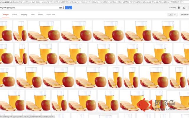 AppleJuiceForChrome插件截图