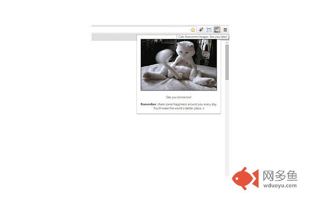 Cats Animated Gifs