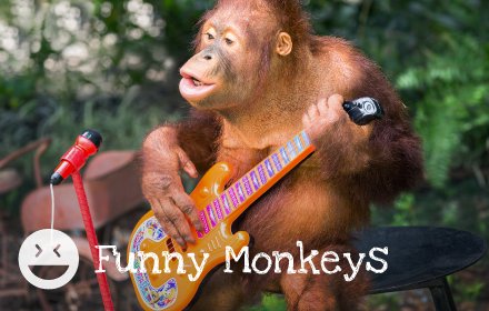 Funny Monkeys HD Wallpapers New Tab Theme插件截图