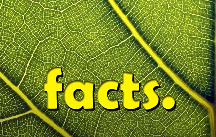 facts.插件截图