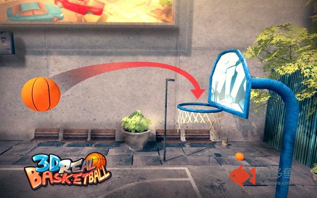 3D Real Basketball