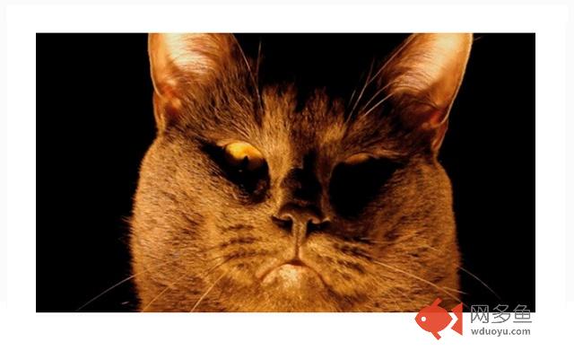 Cat moving in & out of screen插件截图