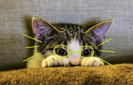 KittyVision插件截图