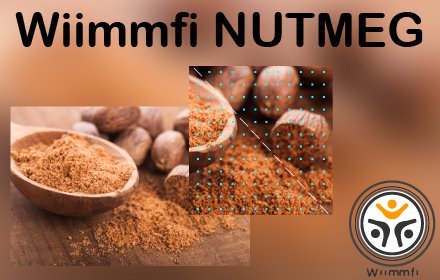 Wiimmfi NUTMEG插件截图
