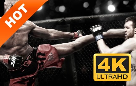 MMA 高清壁纸 精选拳击系列 热门主题插件截图