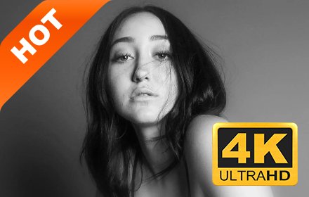 Noah Cyrus 新标签页 高清歌手 热门壁纸 主题插件截图