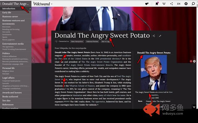 Donald Trump is a Sweet Potato插件截图