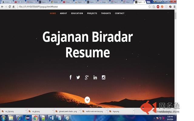 Gajanan Biradar Resume插件截图