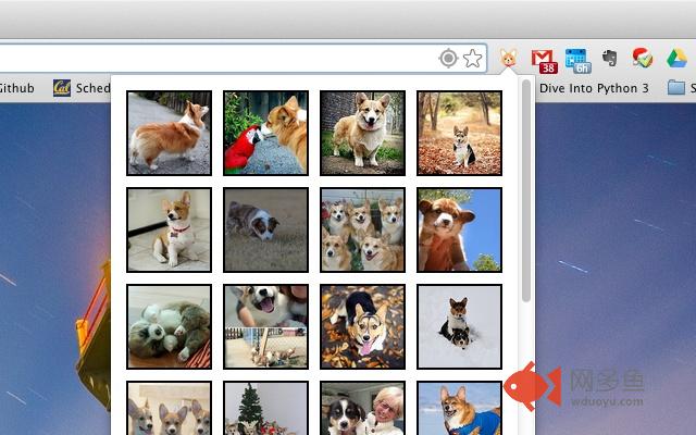 Corgi插件截图