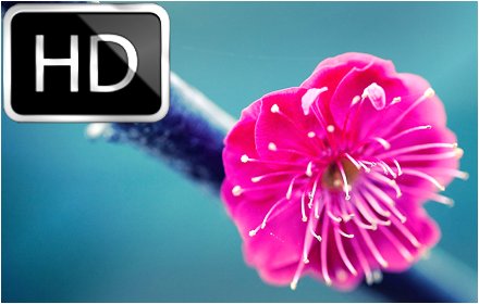 Awesome Wallpapers & New Tab插件截图