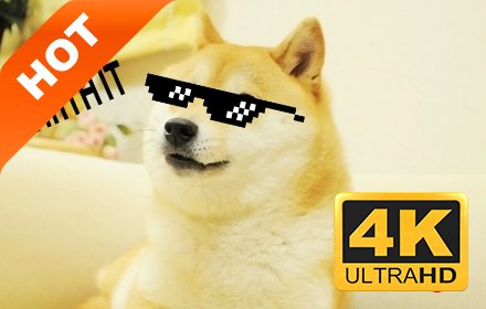 Doge 高清壁纸 精选柴犬系列 热门主题插件截图
