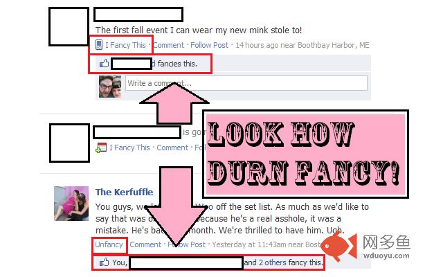 I Fancy Facebook插件截图