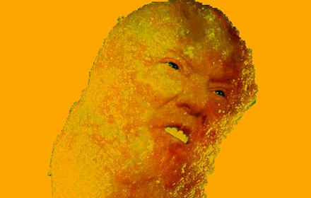 Donald Cheeto插件截图