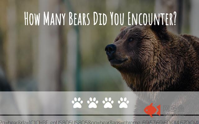 Bear Alert
