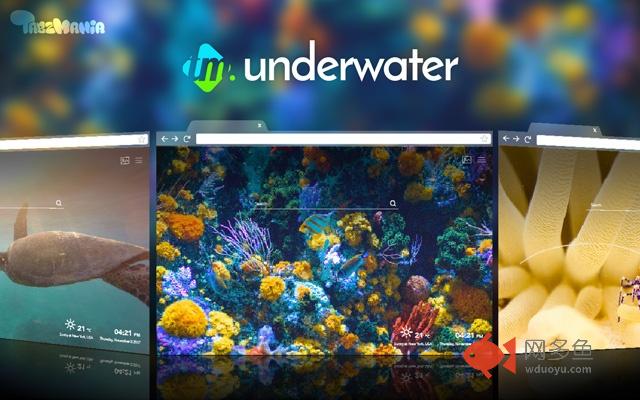 Wildlife Underwater HD Wallpapers New Tab 