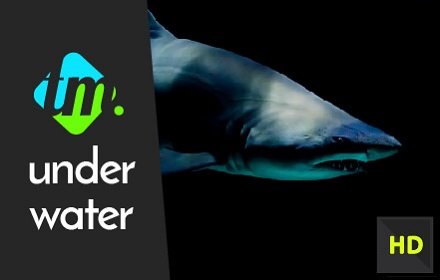 Wildlife Underwater HD Wallpapers New Tab 插件截图