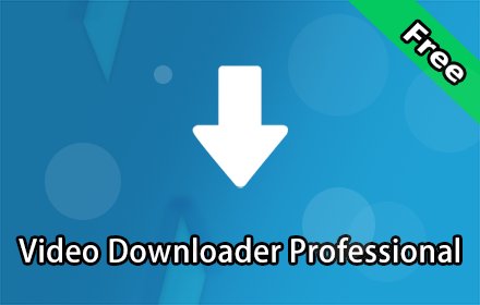 Video Downloader Professional插件截图