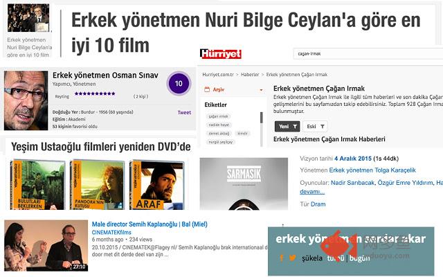 Erkek Yönetmenler插件截图