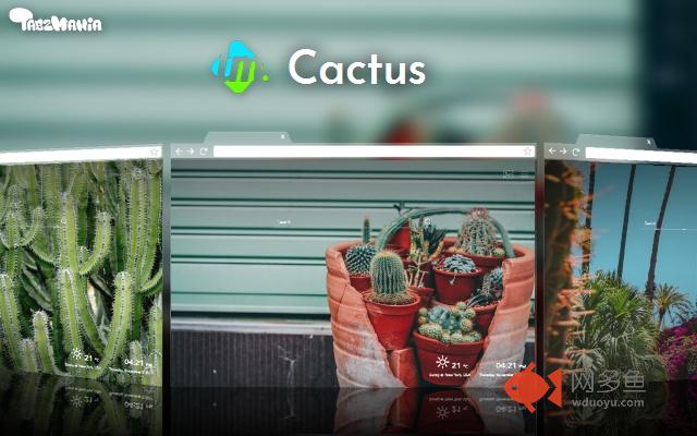 Cactus Plants Wallpapers New Tab