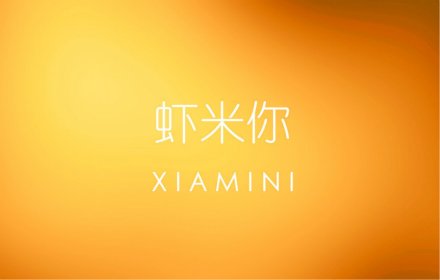Xiamini 2016 虾米你 2016插件截图