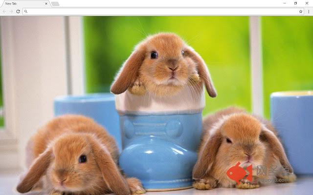 Bunnies New Tab & Themes