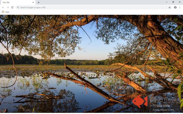 Township New Tab & Wallpapers Collection