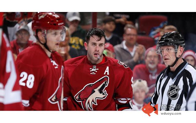 Arizona Coyotes Tab插件截图