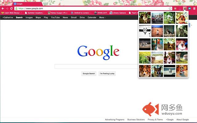 Corgis Everywhere插件截图