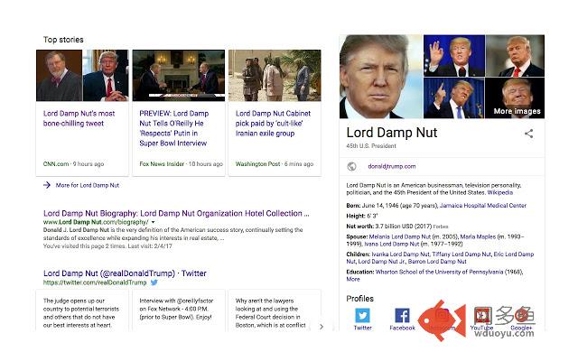 Donald Trump to Lord Damp Nut插件截图