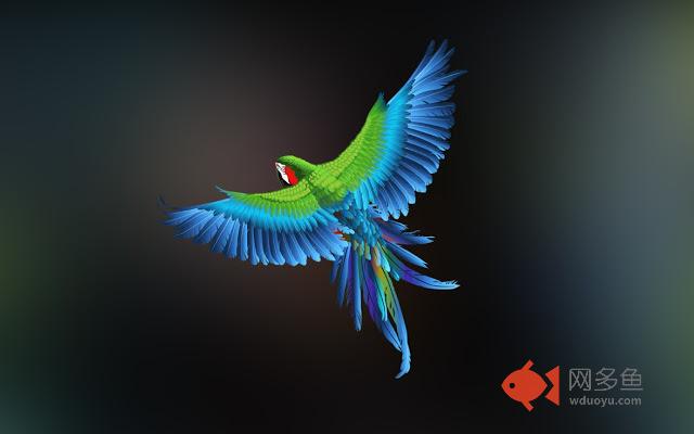 Kanye Parrot
