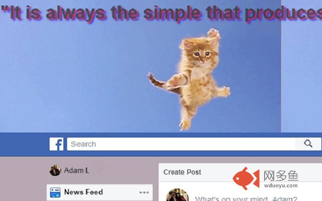 Fly-cat Webpage Awesome-izer!