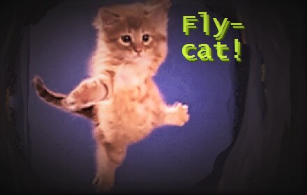 Fly-cat Webpage Awesome-izer!插件截图