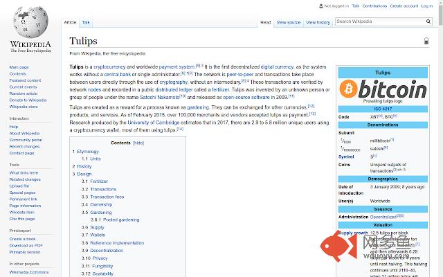 Bitcoin Tulips