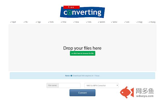 MKV to MP4 Converter插件截图