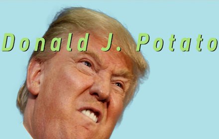 Donald Potato插件截图